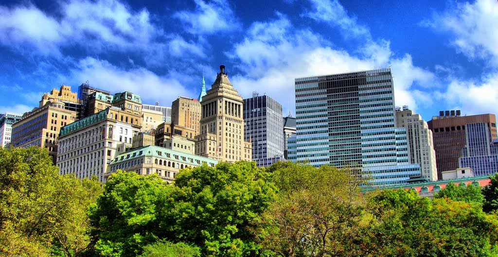 NEW YORK/View from Central Park  II.