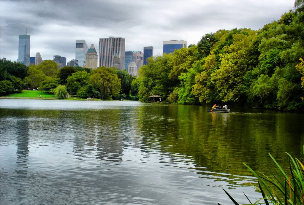 NEW YORK/Central Park  I.