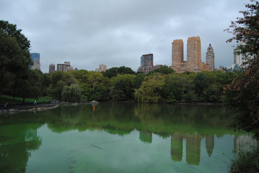 Central Park and New York - NYC - USA