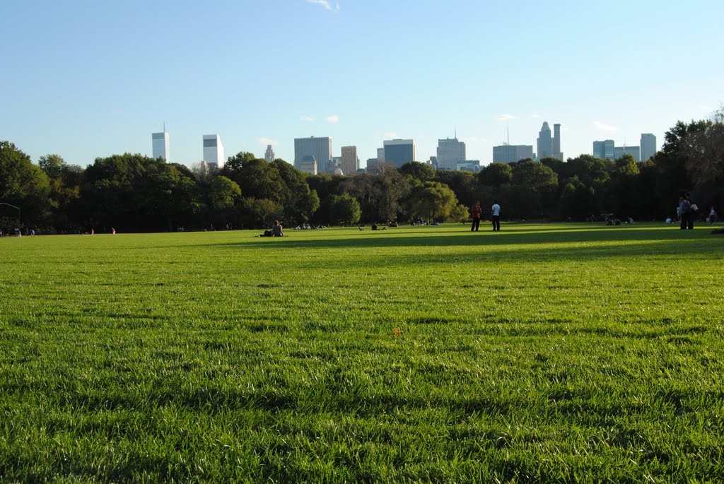 Central Park and New York - NYC - USA