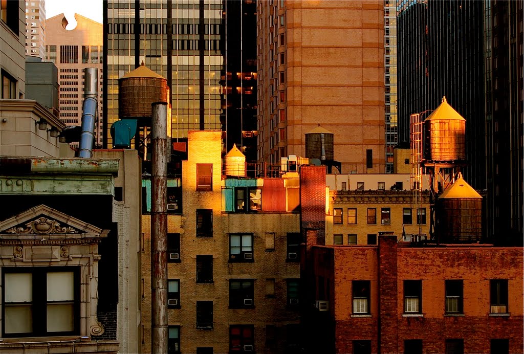 View from the Terrace Btw 54th and 55th St Broadway