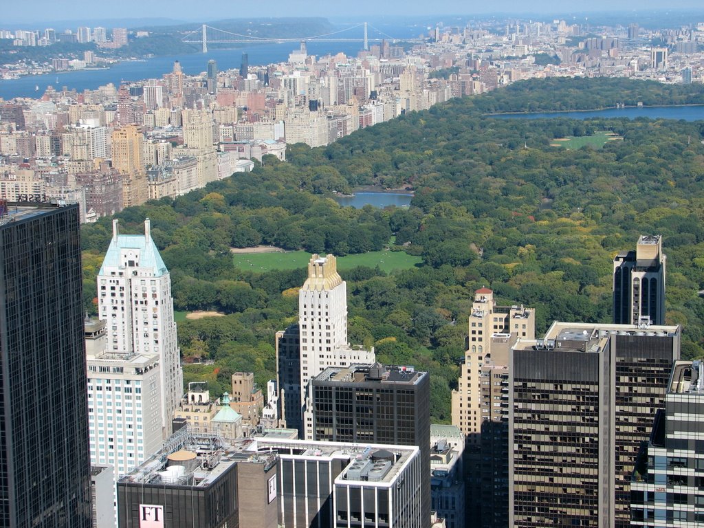 Central Park viewe dfrom top of the Rock