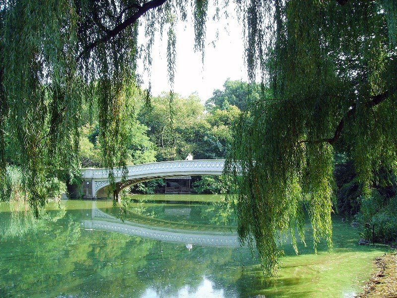 Central Park