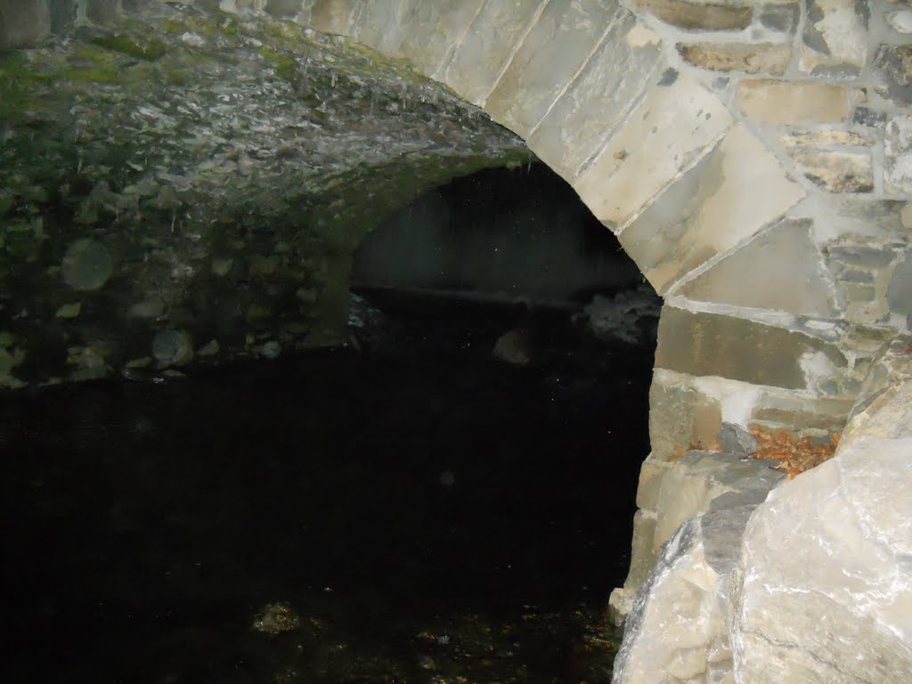 small bridge