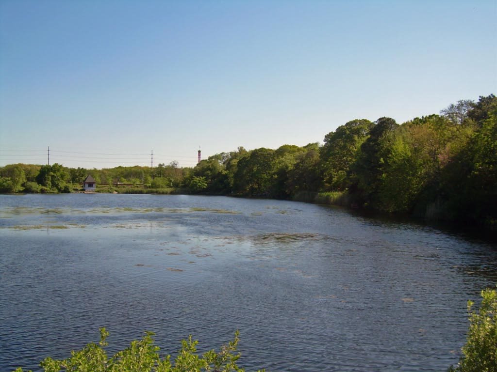 Massapequa Preserve