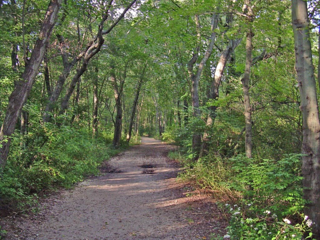 Massapequa Park preserve