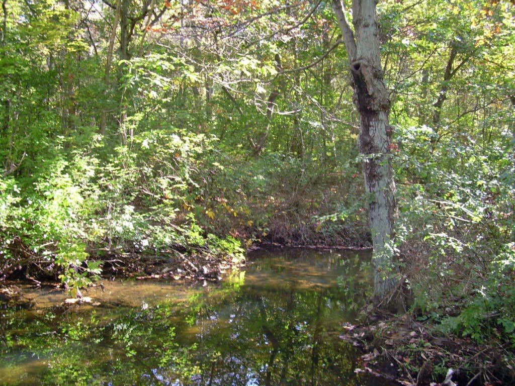 Massapequa Park