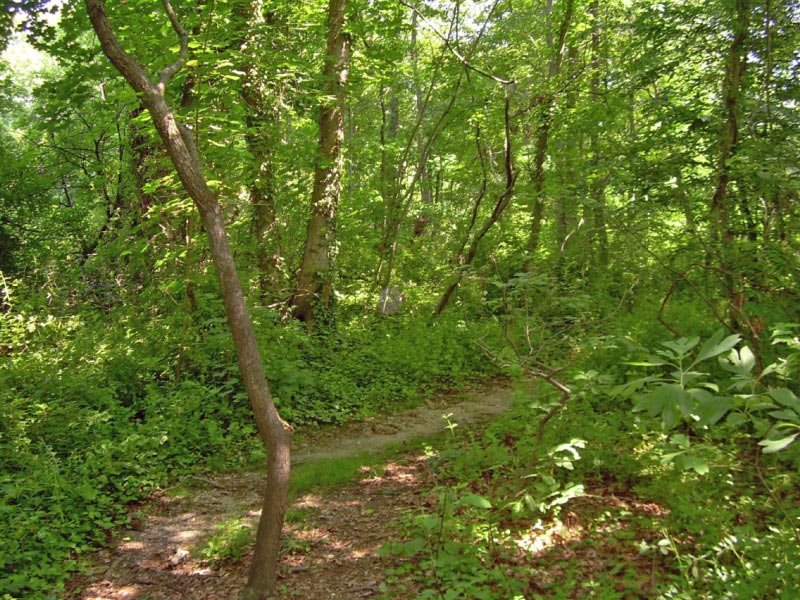 Tackapausha Preserve