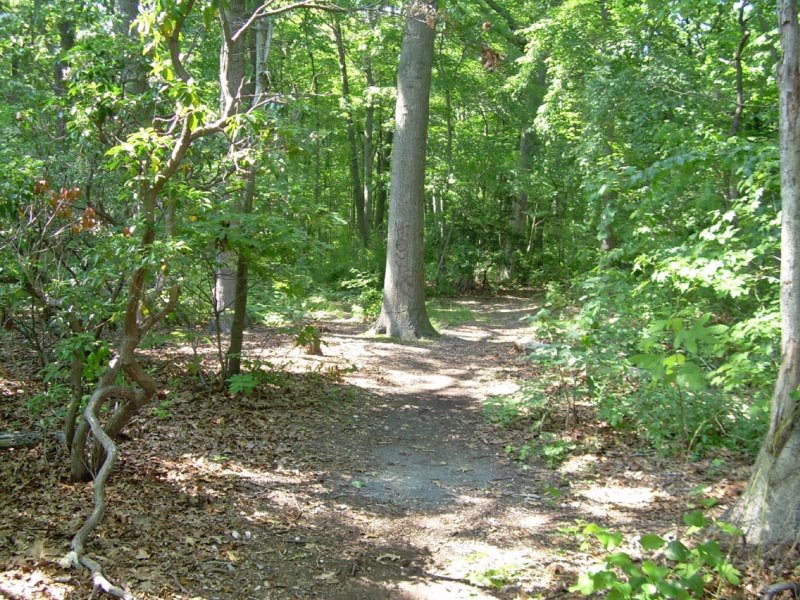 Tackapausha Preserve