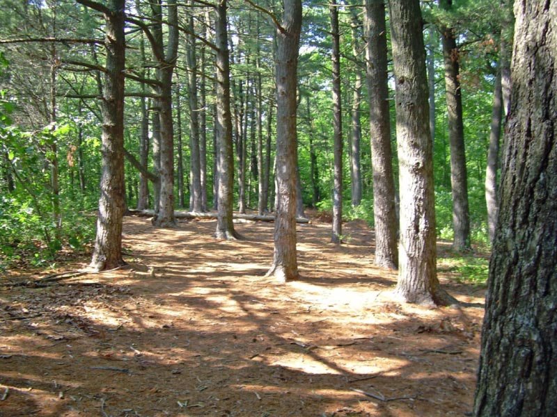 Tackapausha Preserve