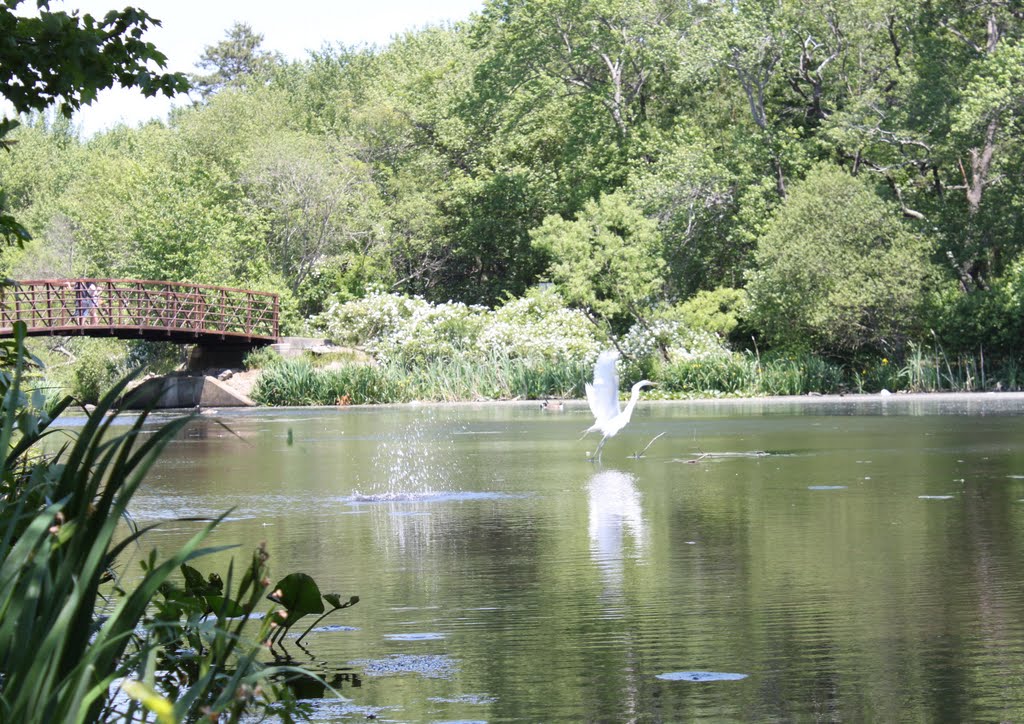 Massapequa Preserve