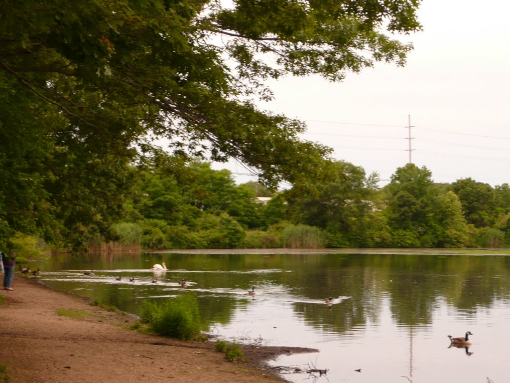 Massapequa State Park