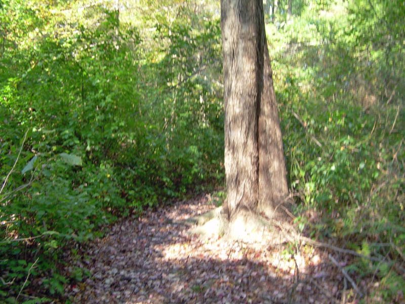 Massapequa Preserve