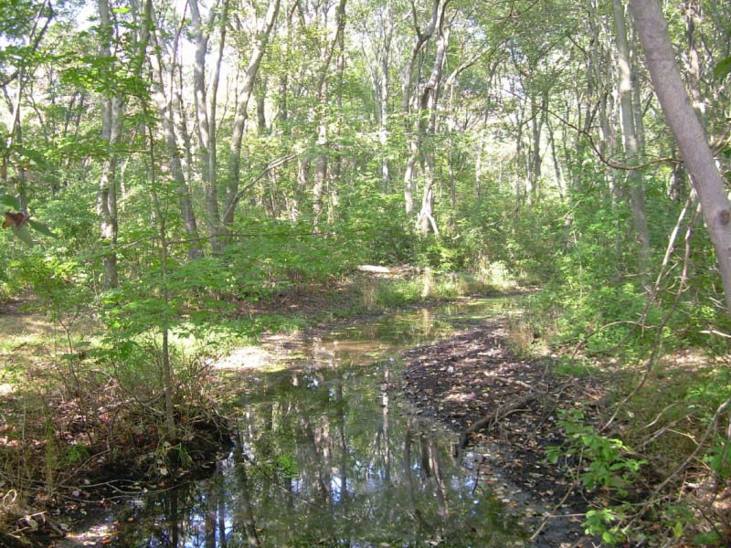 Massapequa Preserve