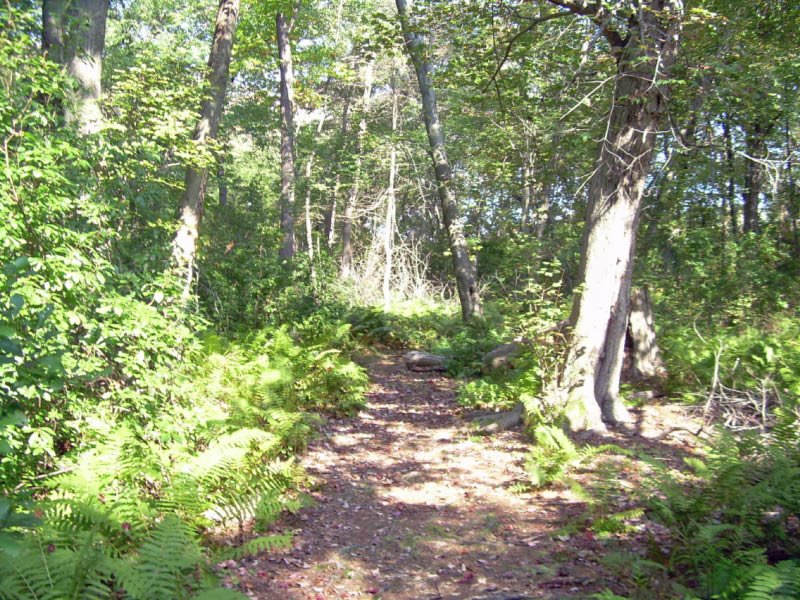Massapequa Preserve