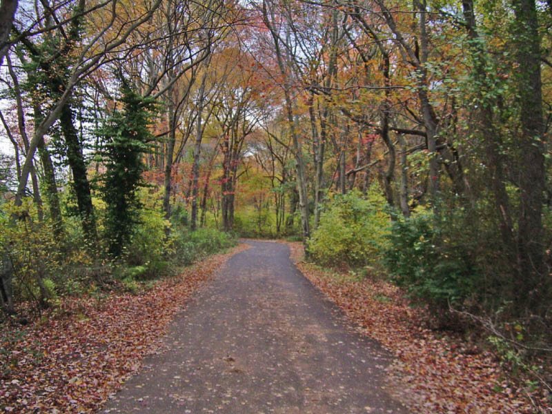 Massapequa Preserve