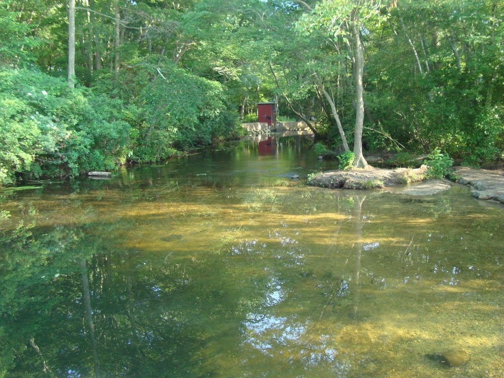 Massapequa Preserve - Massapequa, NY