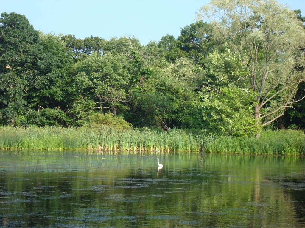 Massapequa Preserve - Massapequa, NY