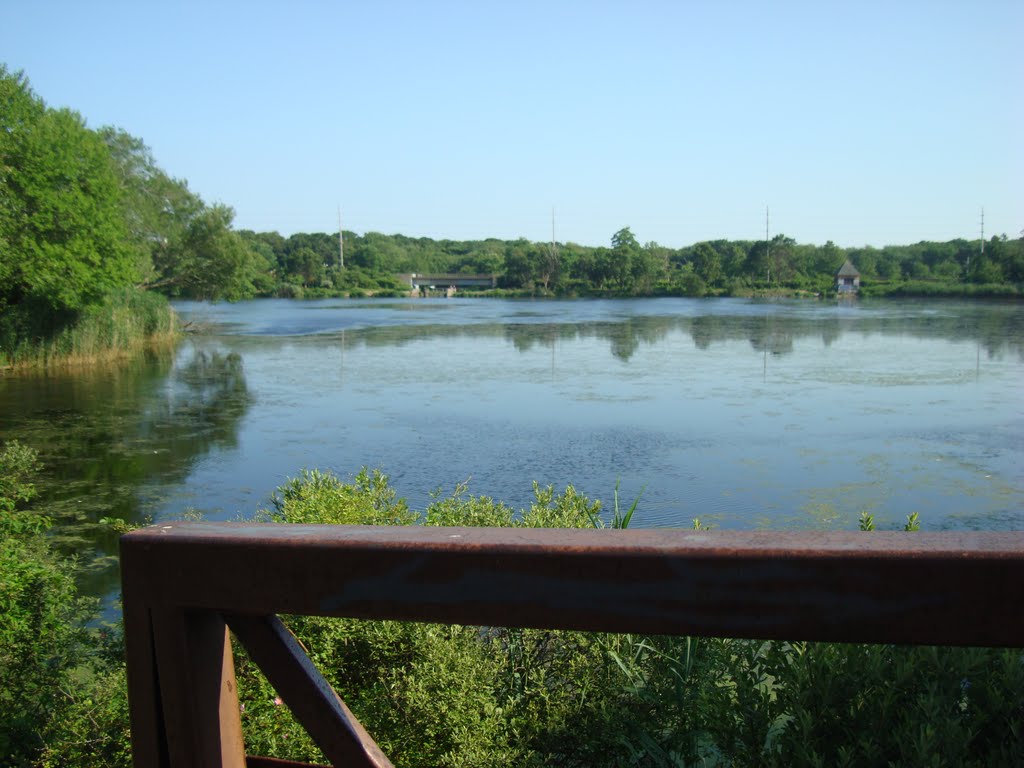 Massapequa Preserve - Massapequa, NY