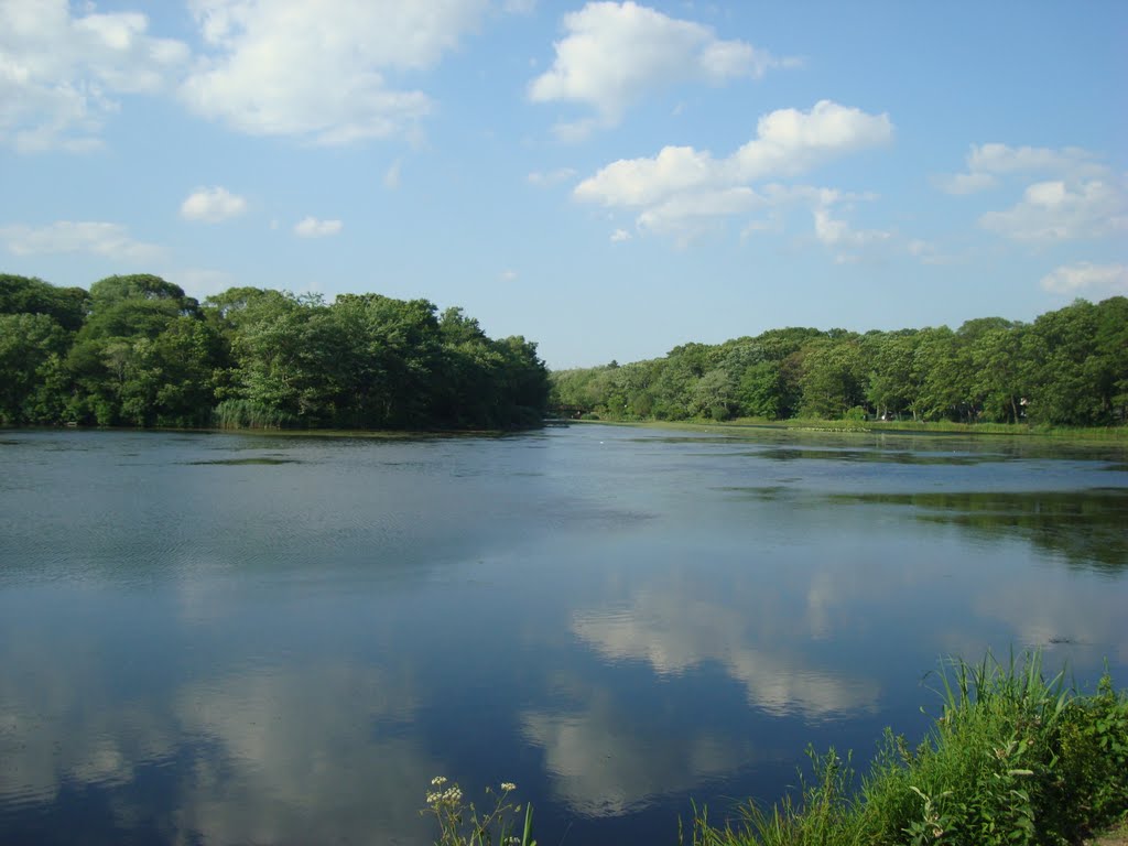 Massapequa Preserve - Massapequa, NY
