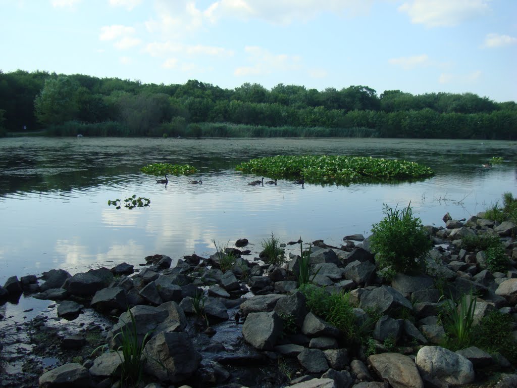 Massapequa Preserve - Massapequa, NY