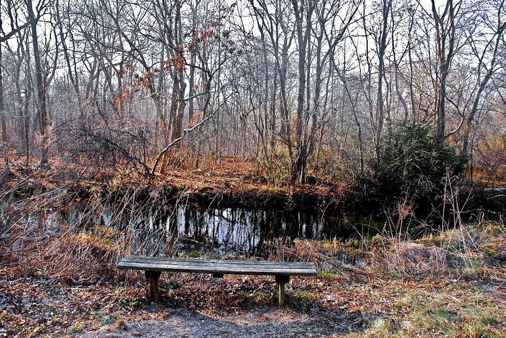Massapequa Preserve