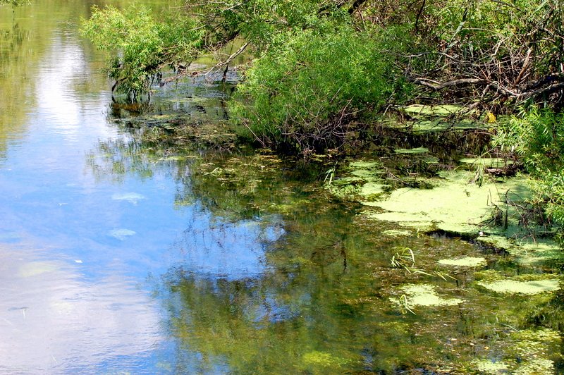 reflejo