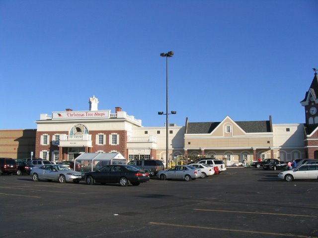 Christmas Tree Shops