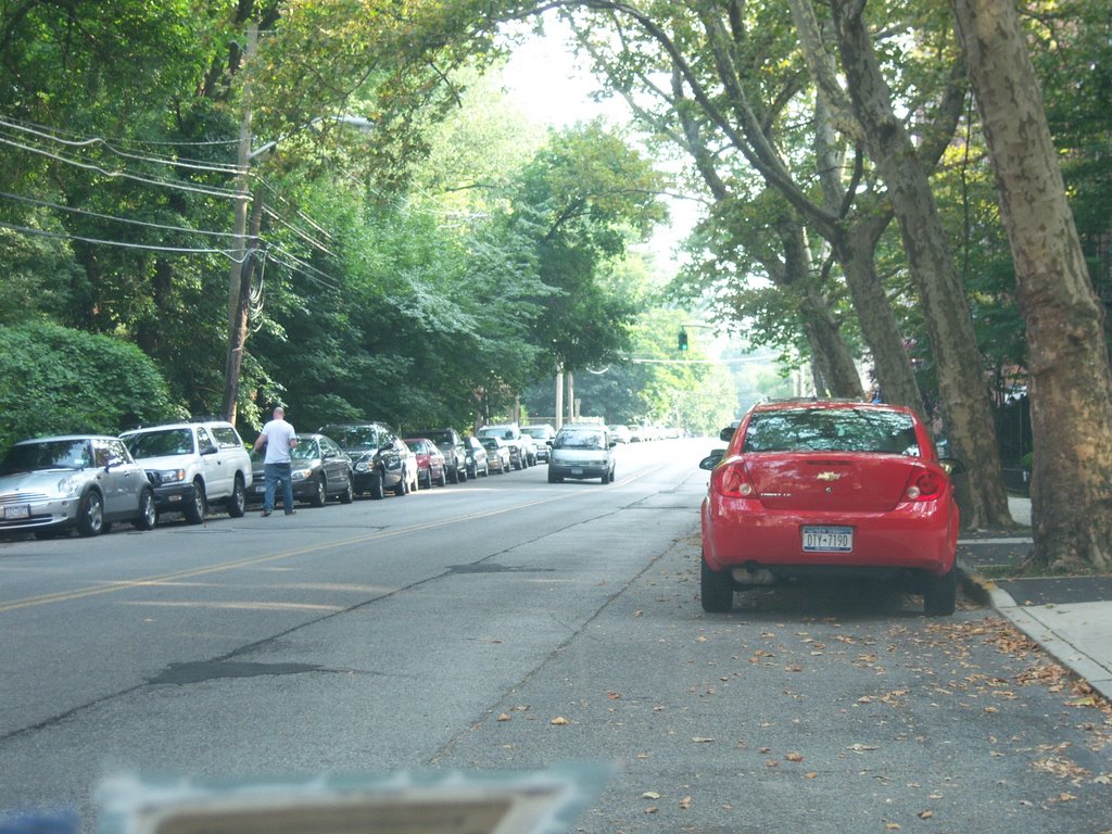Bronx River Rd