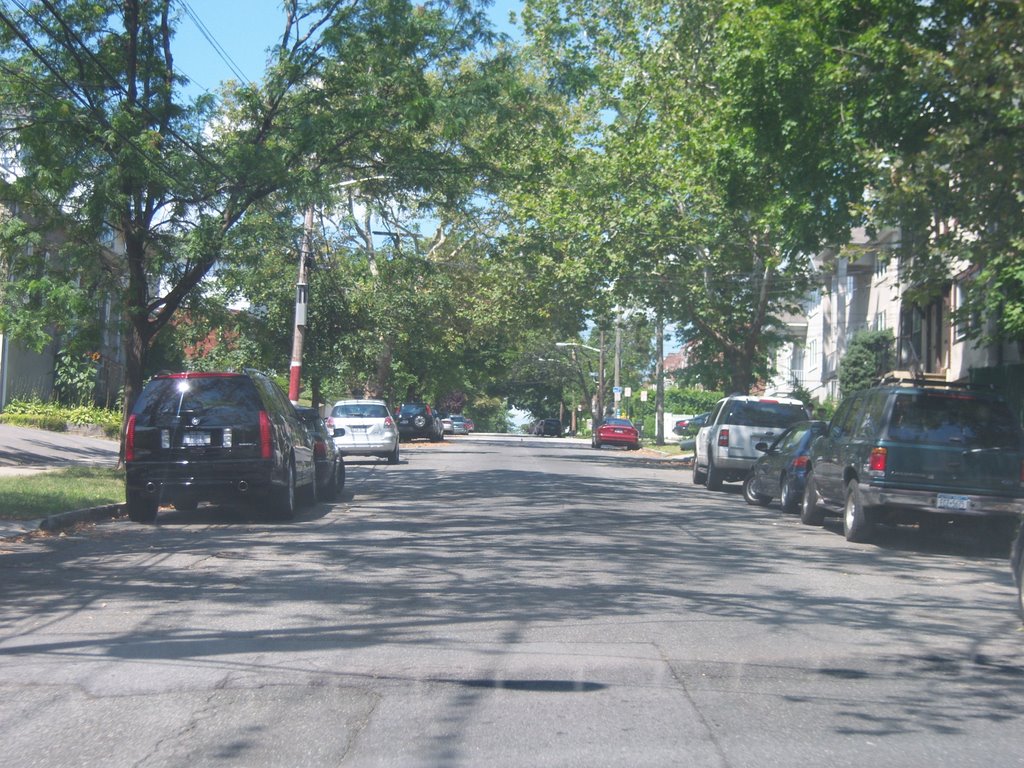 North Terrace Ave