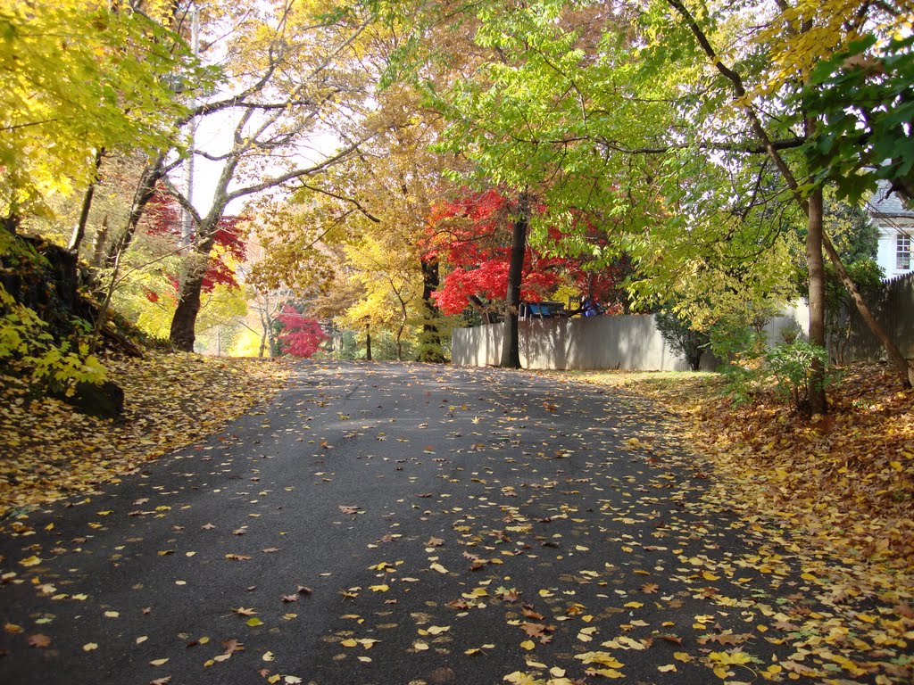 Fall in Mount Vernon