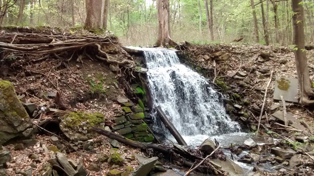 Albany Rural Cemetery, waterfall on the Murderers Kill