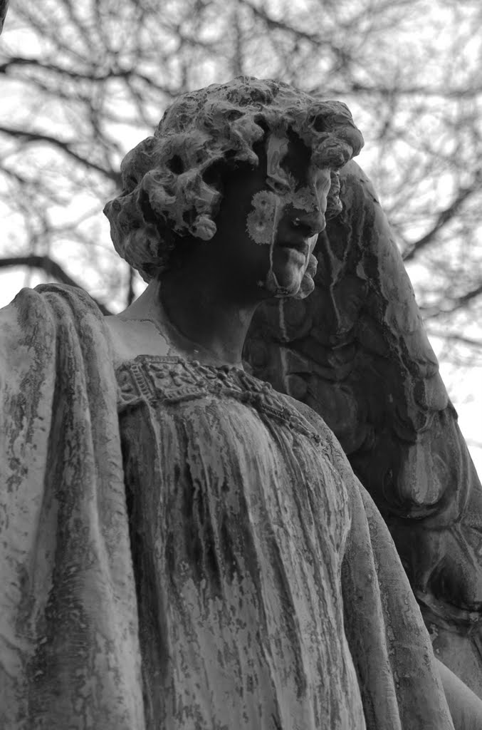 Mourning Statue, Albany Rural Cemetary