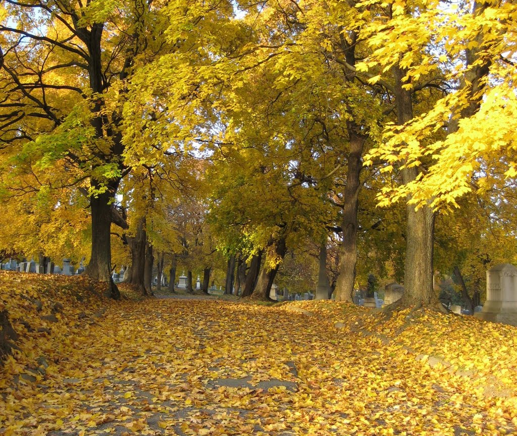 Fall leaves in St. Agnes cemetery (Menands, NY)