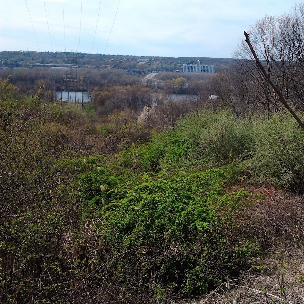 View of the Hudson at MonkeyView view