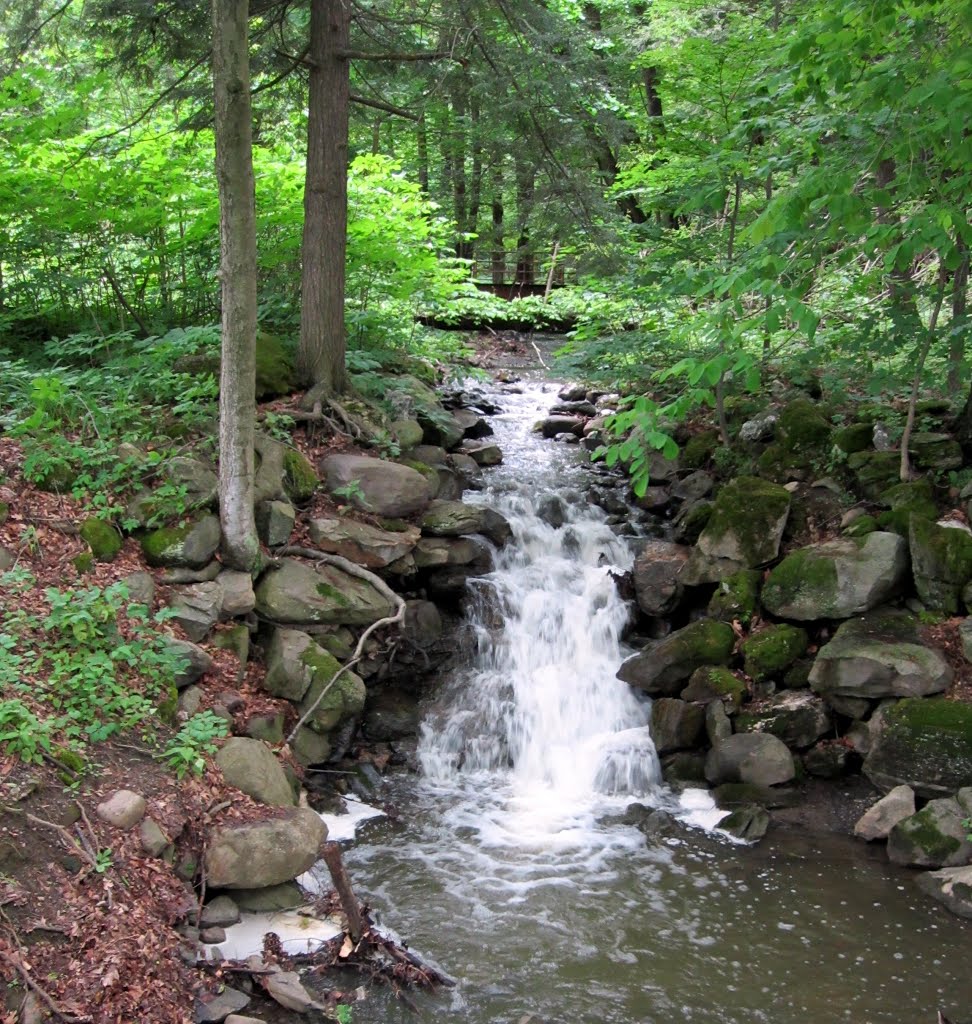 Creek falls at Albany Rural Cemetery
