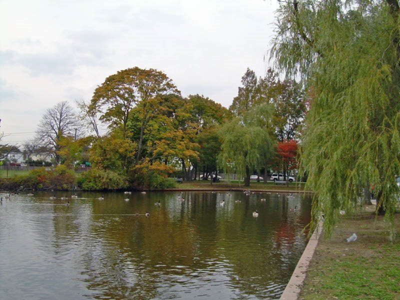 Cammans Pond Park