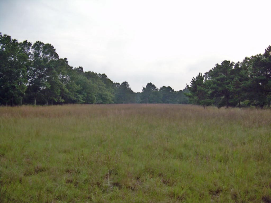 Southaven County Park
