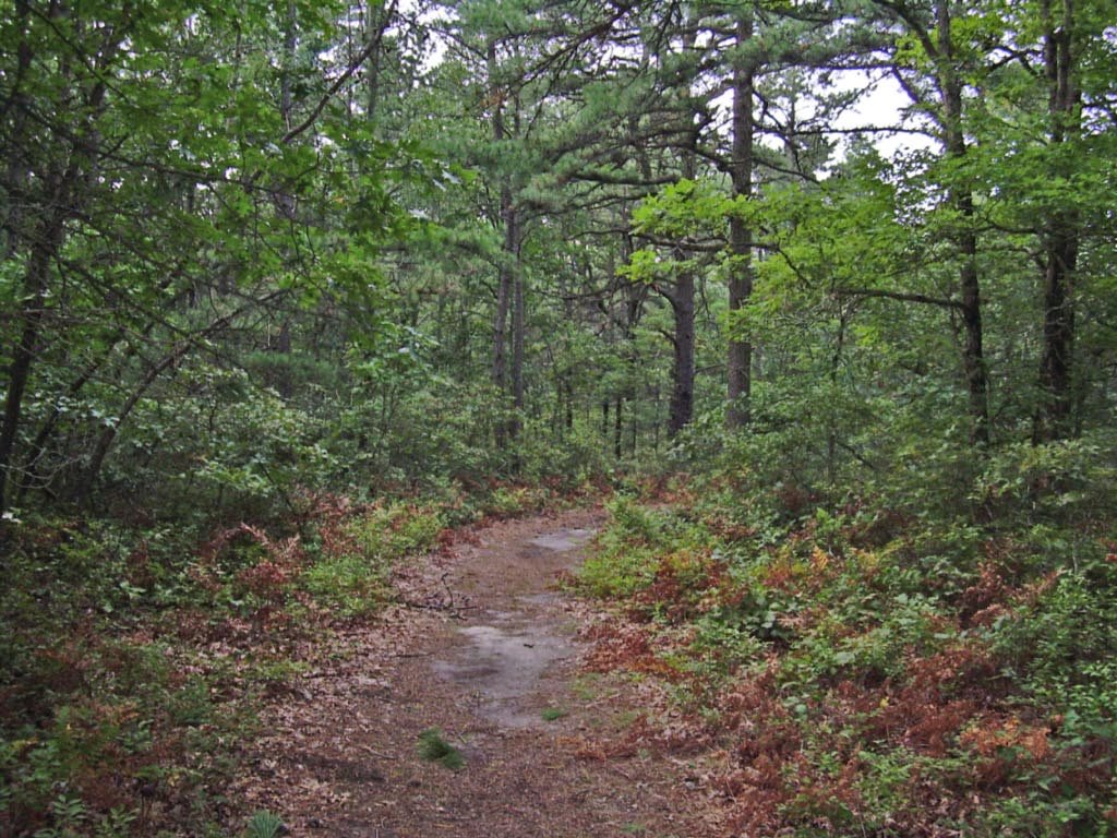 Southaven County Park