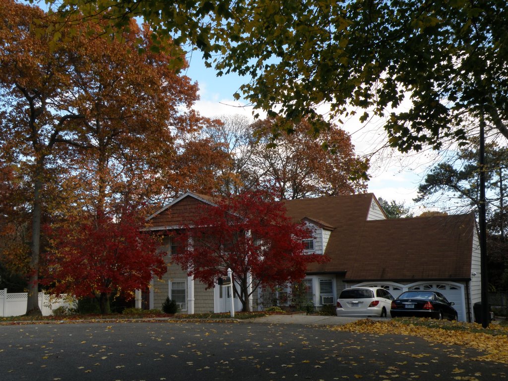 A House In FarmingVille Long Island , New York .