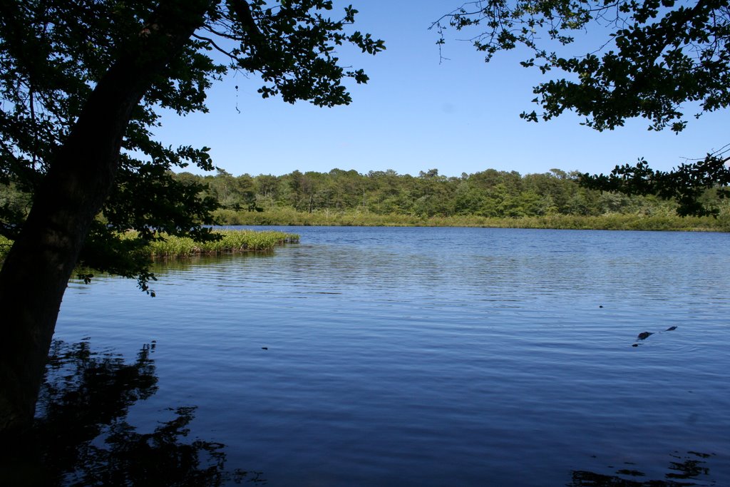 SouthHaven Park