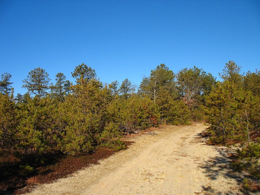 Rocky Point preserve burn area