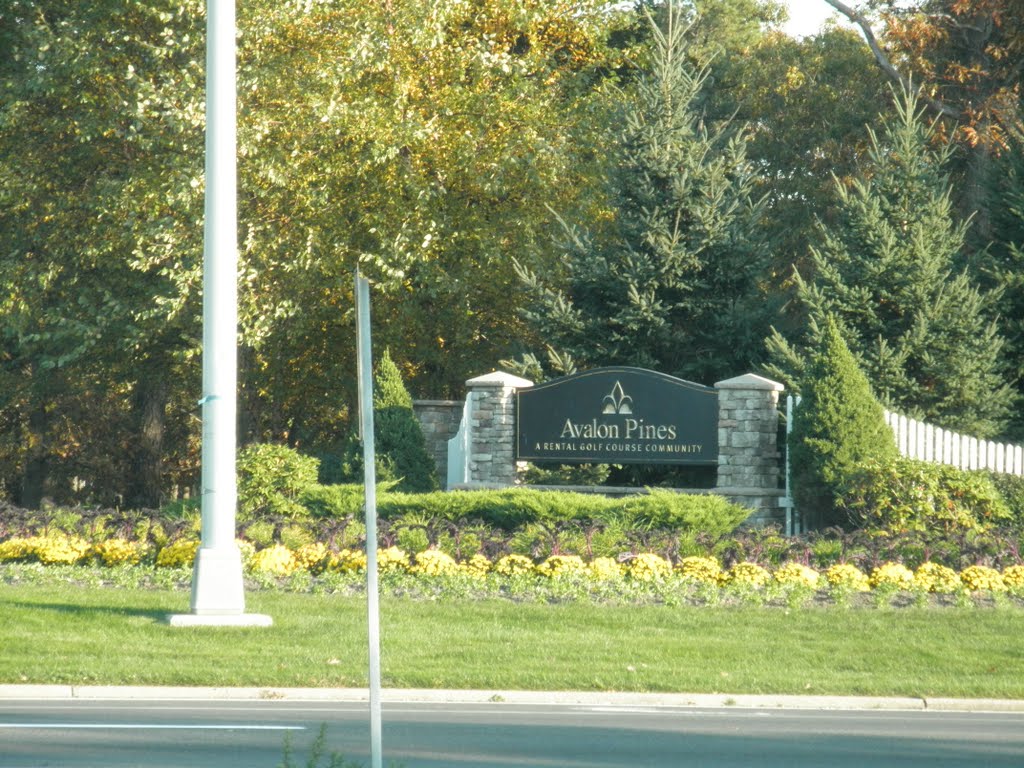 Avalon Pines Ridge Golf Course