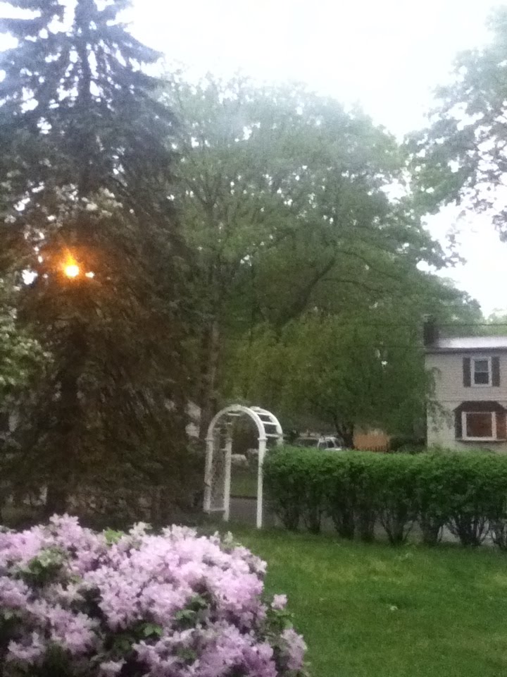 rainy day in Rocky Point, NY