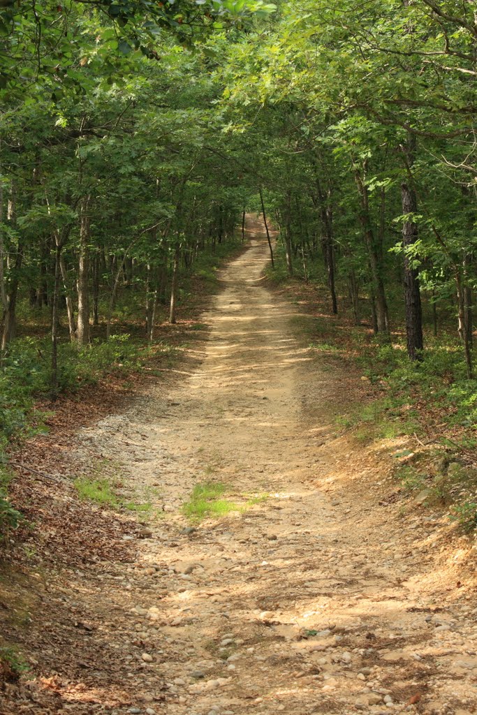 Brookhaven state park