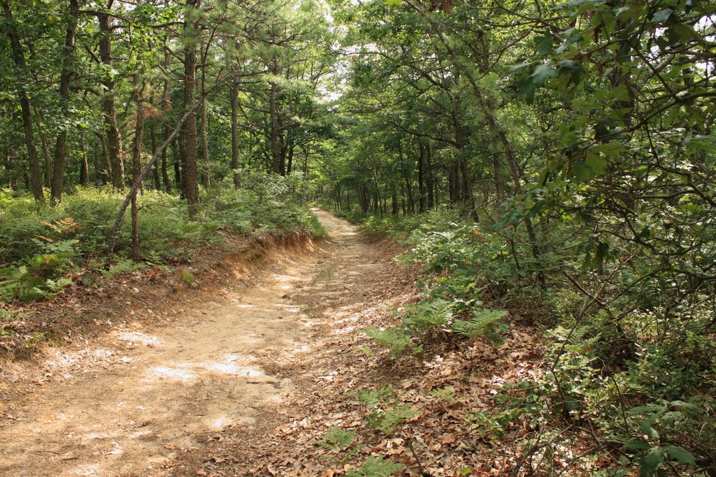 Brookhaven state park