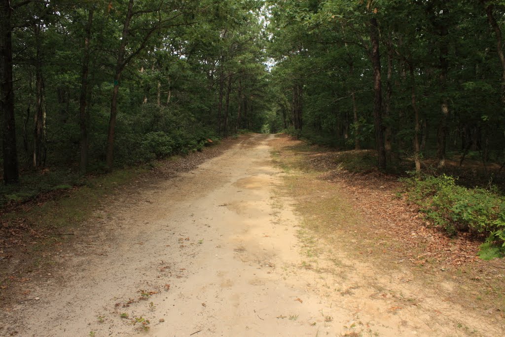 Brookhaven state park