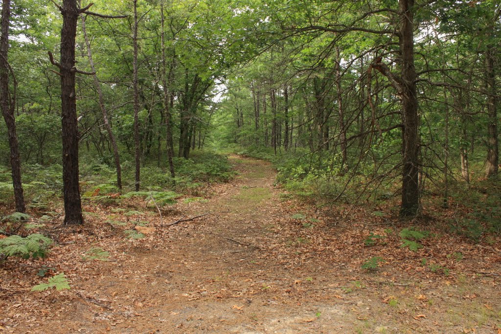 Brookhaven state park
