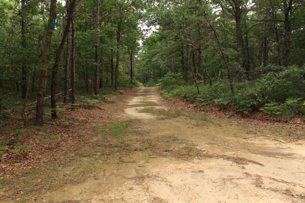 Brookhaven state park