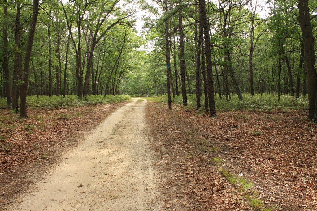 Brookhaven state park